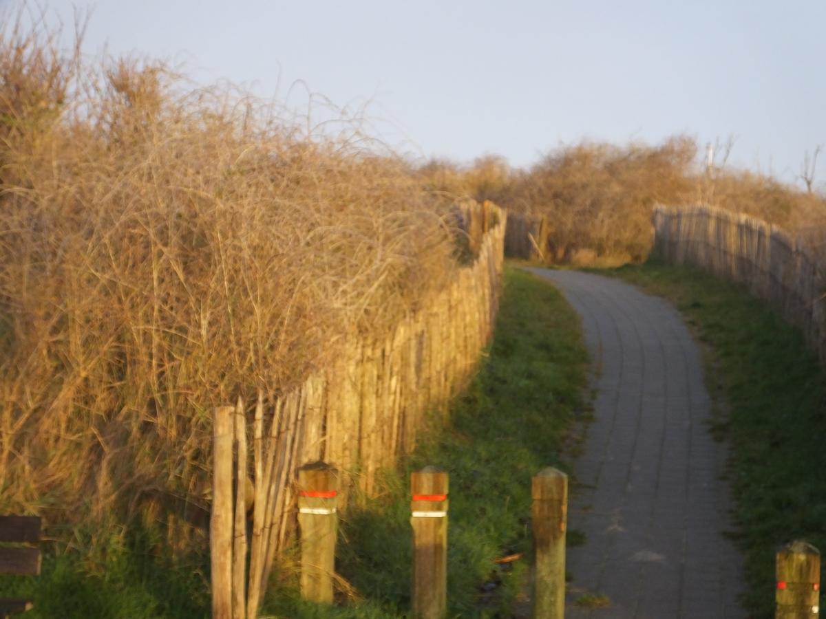 Sable D'O -Vlak Aan De Zee- Bed and Breakfast Mariakerke  Εξωτερικό φωτογραφία