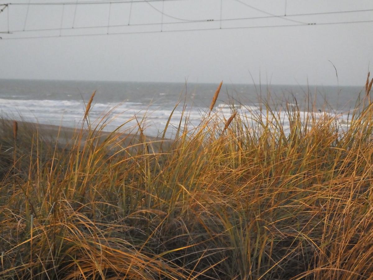 Sable D'O -Vlak Aan De Zee- Bed and Breakfast Mariakerke  Εξωτερικό φωτογραφία